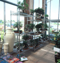 Estanteria Miami