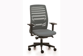Silla ergonomica  Telma con respaldo de malla y ajuste lumbar